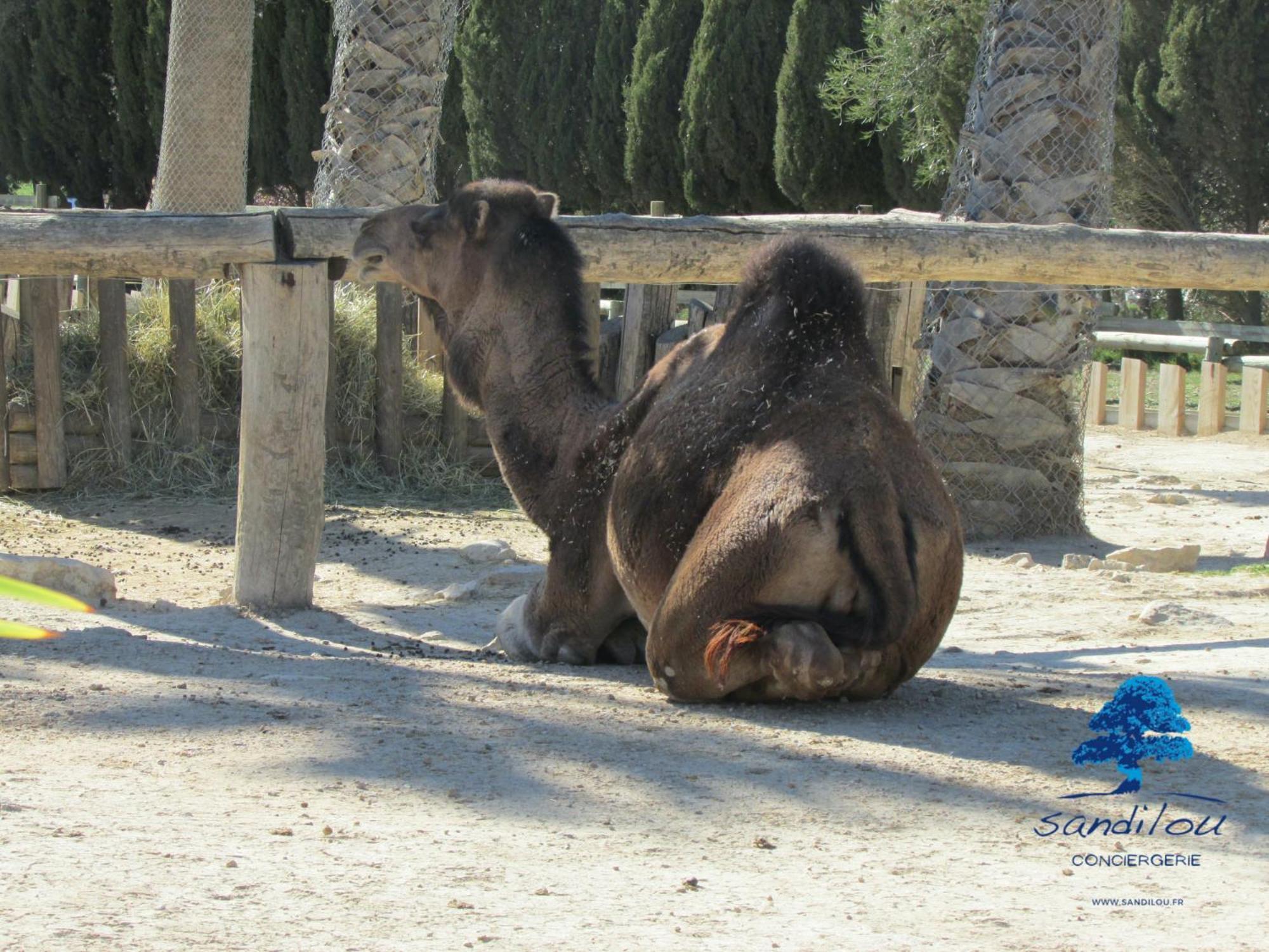 Sandilou Lespetitsbonheurs 2 Chambres Climatise Tv Sigean Buitenkant foto