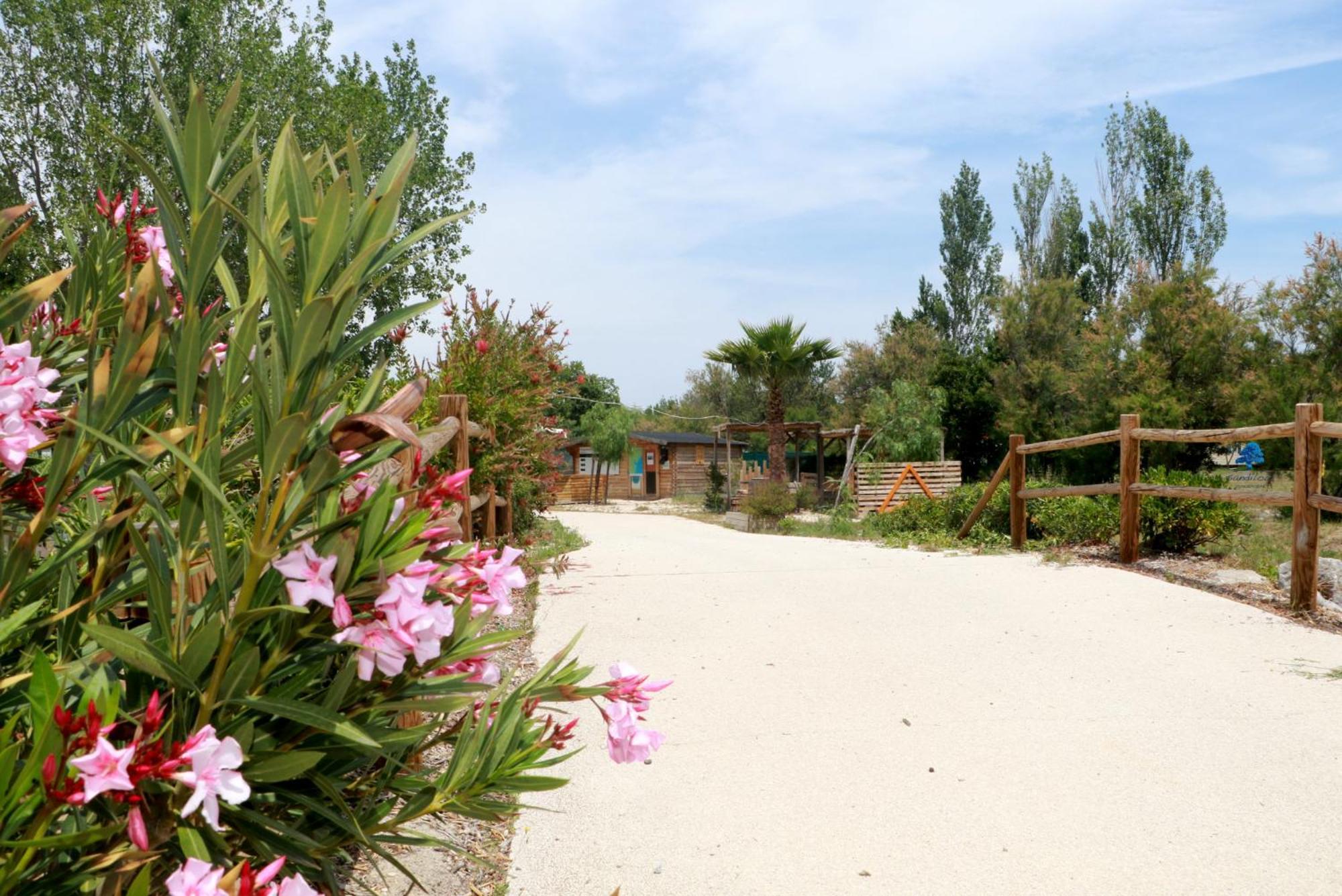 Sandilou Lespetitsbonheurs 2 Chambres Climatise Tv Sigean Buitenkant foto
